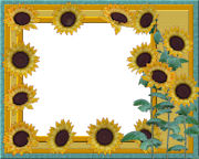 Free Summer Floral Sun Flower, Daisy, Garden Plants Themed Photo Greeting Postcard Downloads.