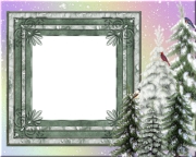 Winter Christmas Tree Photo Greeting Card